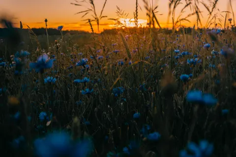 시골 들판 4K 배경화면 · nature · 3840×2560