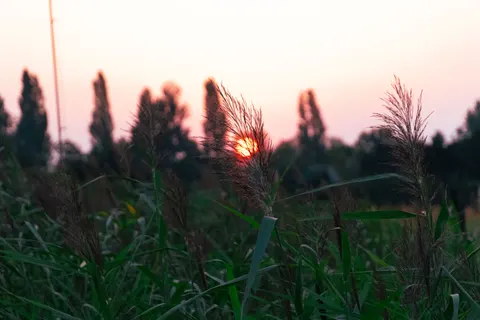 Ländliches Feld 4K Hintergrundbild · nature · 3840×2560