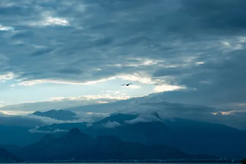 Fondo de pantalla Águila en vuelo 4K · birds · 3840×2560