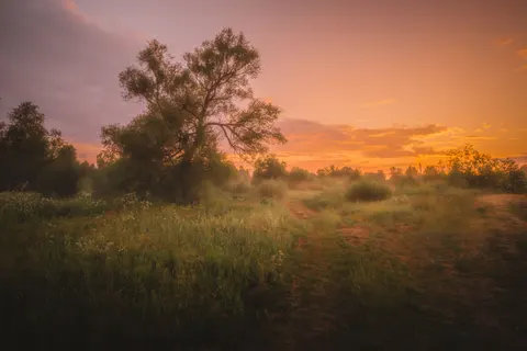 خلفية حقل ريفي بدقة 4K · nature · 3840×2560