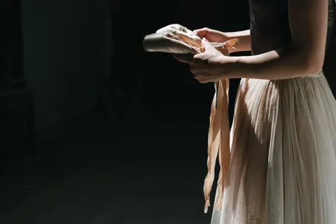 Fondo de pantalla Cisne elegante 4K · birds · 3840×2560