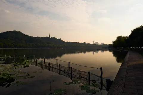 Elegante zwaan 4K-achtergrond · birds · 3840×2556