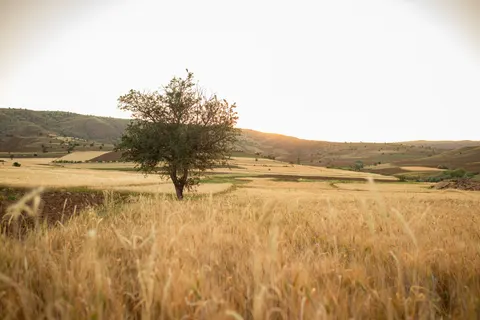 Countryside Field 4K Wallpaper · nature · 3840×2560