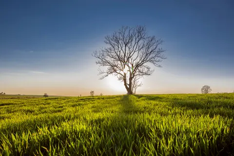 Countryside Field 4K Wallpaper · nature · 3840×2563