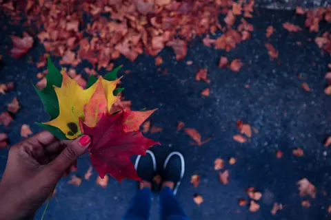 Sfondo Foglie d'acero autunnali 4K · autumn · 3840×2560