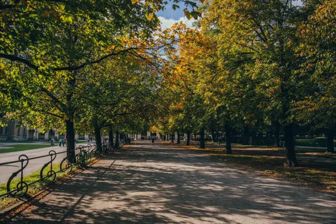 Autumn Park 4K Wallpaper · autumn · 3840×2560