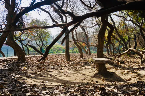 Wallpaper Taman musim gugur 4K · autumn · 3840×2560