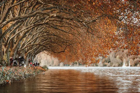 पतझड़ का पार्क 4K वॉलपेपर · autumn · 3840×2560