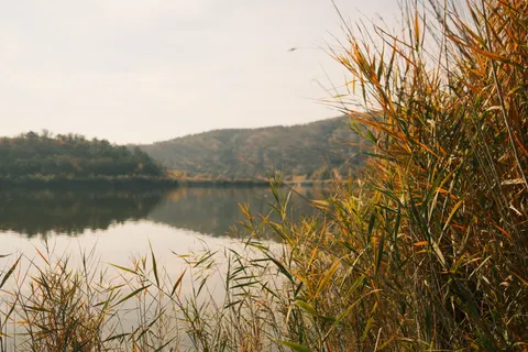 Herfstmeer 4K-achtergrond · autumn · 3840×2560