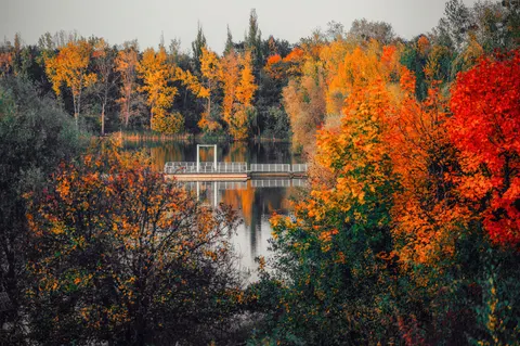 Autumn Lake 4K Wallpaper · autumn · 3840×2559