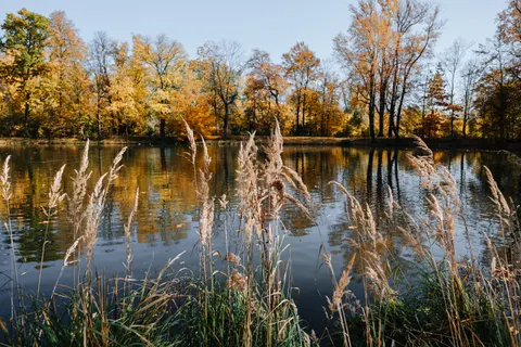 Autumn Lake 4K Wallpaper · autumn · 3840×2560
