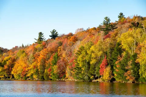 Autumn Lake 4K Wallpaper · autumn · 3840×2560