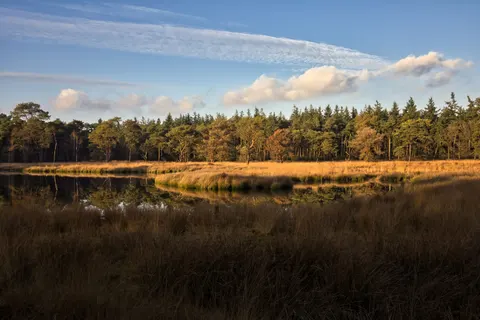 Herbstsee 4K Hintergrundbild · autumn · 3840×2560