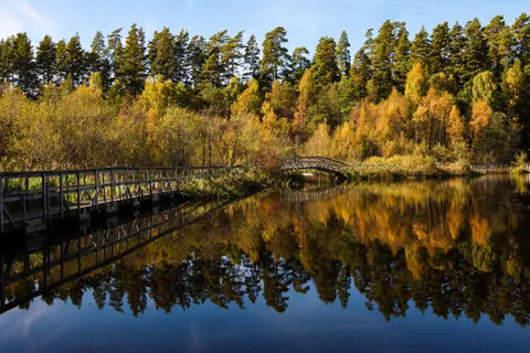 Autumn Lake 4K Wallpaper · autumn · 3840×2560