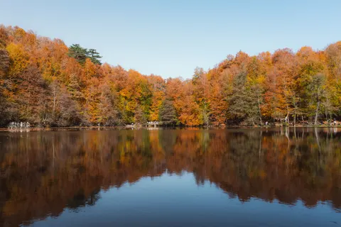 Sonbahar Gölü 4K Duvar Kağıdı · autumn · 3840×2561
