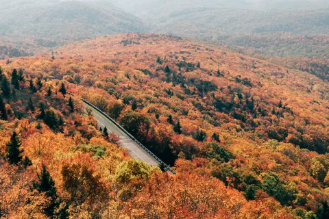 Autumn Mountains 4K Wallpaper · autumn · 3840×2560