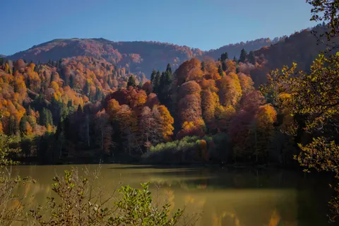 Autumn Mountains 4K Wallpaper · autumn · 3840×2560