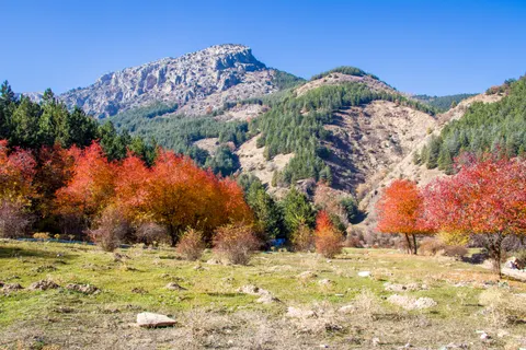Autumn Mountains 4K Wallpaper · autumn · 3840×2560