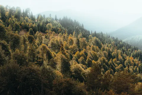Autumn Mountains 4K Wallpaper · autumn · 3840×2560