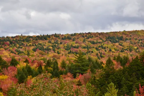 Autumn Mountains 4K Wallpaper · autumn · 3840×2560