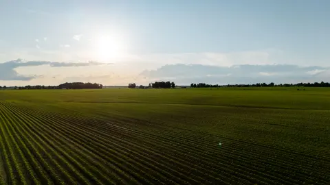 خلفية حقل ريفي بدقة 4K · nature · 3840×2160