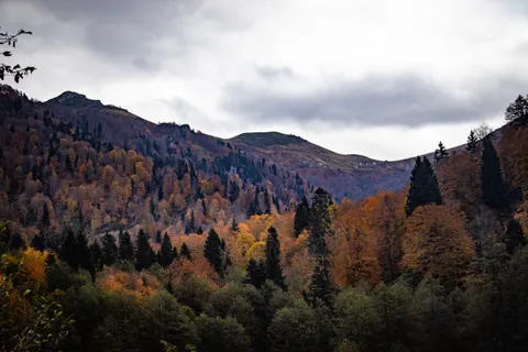 Autumn Mountains 4K Wallpaper · autumn · 3840×2560