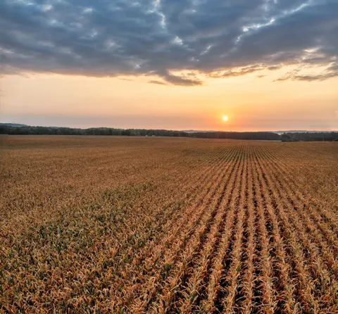 Countryside Field 4K Wallpaper · nature · 3840×3566