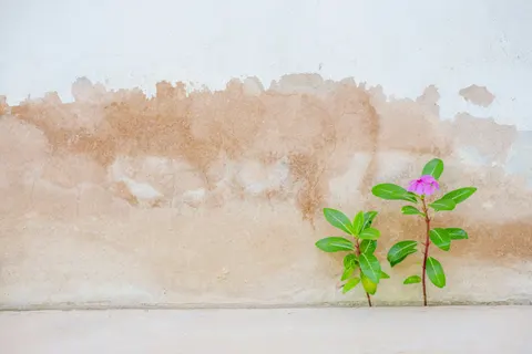 Cracked Paint 4K Wallpaper · textures · 3840×2563