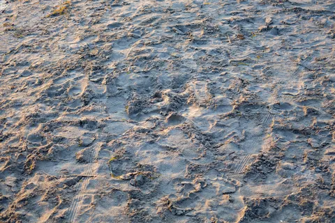 Wallpaper Tekstur Beton 4K · textures · 3840×2560