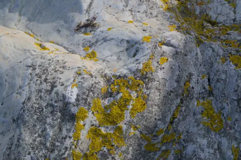 Concrete Texture 4K Wallpaper · textures · 3840×2554