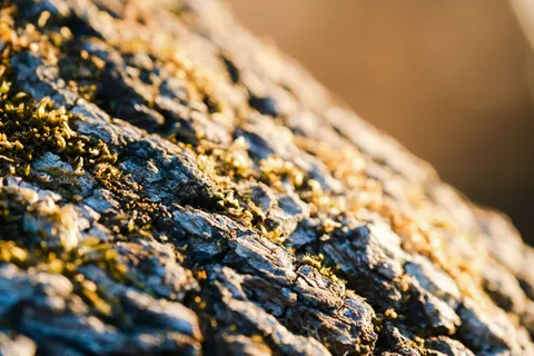 والپیپر بافت بتن با کیفیت 4K · textures · 3840×2560