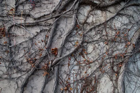 Sfondo Texture di cemento 4K · textures · 3840×2560