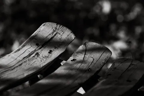 Wood Texture 4K Wallpaper · textures · 3840×2563