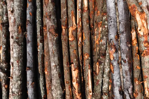 Wood Texture 4K Wallpaper · textures · 3840×2560