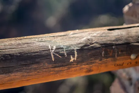 Wood Texture 4K Wallpaper · textures · 3840×2560