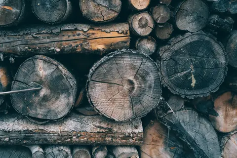 Wood Texture 4K Wallpaper · textures · 3840×2561