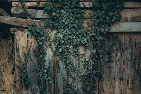 والپیپر بافت چوب با کیفیت 4K · textures · 3840×2560