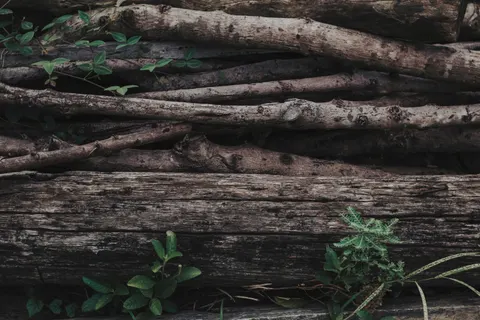 Wood Texture 4K Wallpaper · textures · 3840×2560