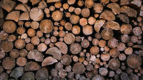 Wallpaper Tekstur Kayu 4K · textures · 3840×2160