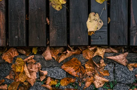 Wood Texture 4K Wallpaper · textures · 3840×2538