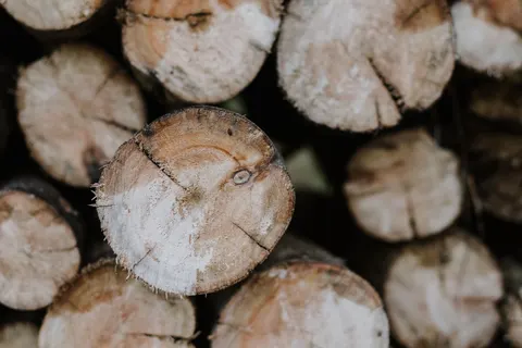 Wallpaper Tekstur Kayu 4K · textures · 3840×2560