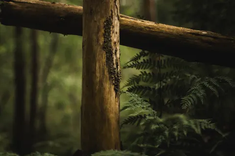 木紋 4K桌布 · textures · 3840×2560