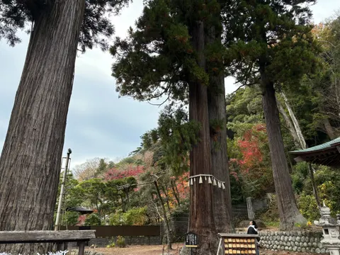 Tapeta Kioto 4K · travel · 3840×2880
