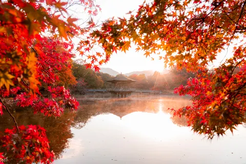 Kyoto 4K Wallpaper · travel · 3840×2560