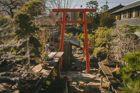 Tapeta Kioto 4K · travel · 3840×2560