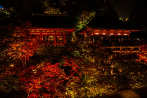 Kyoto 4K Hintergrundbild · travel · 3840×2560