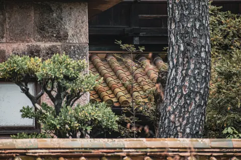 Hình nền Kyoto 4K · travel · 3840×2560