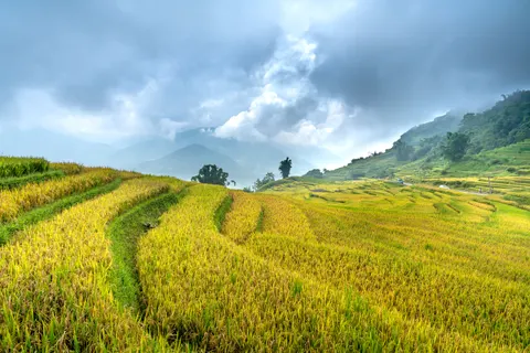 Bali 4K Wallpaper · travel · 3840×2561