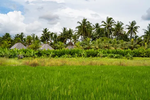 Bali 4K Wallpaper · travel · 3840×2560