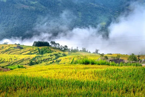 Bali 4K Wallpaper · travel · 3840×2561